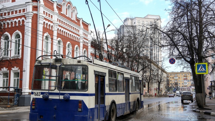 В Нижнем Новгороде отказались от троллейбуса № 16 в борьбе за «чистое небо»