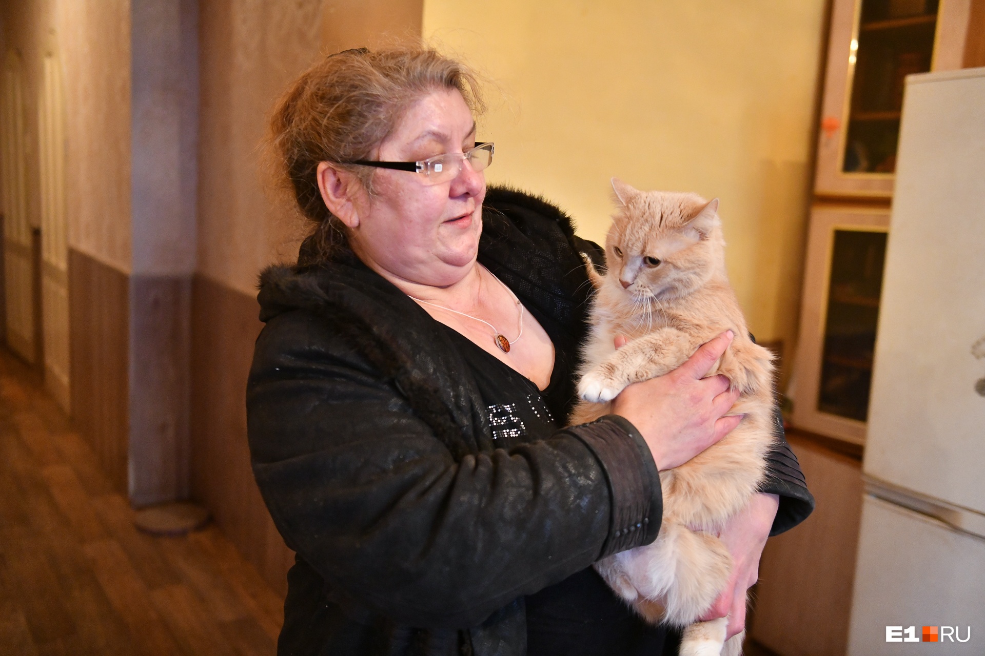 Рыжий кот жил в соседнем доме, но с травмой пришел к приюту. Прежняя хозяйка так и не забрала его оттуда Рыжий кот жил в соседнем доме, но с травмой пришел к приюту. Прежняя хозяйка так и не забрала его оттуда