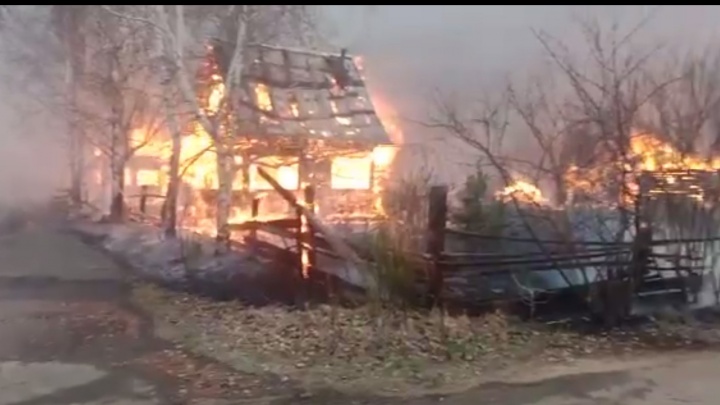 Крупный пожар произошел в садоводстве «Механизатор» Братского района — повреждено 30 домов