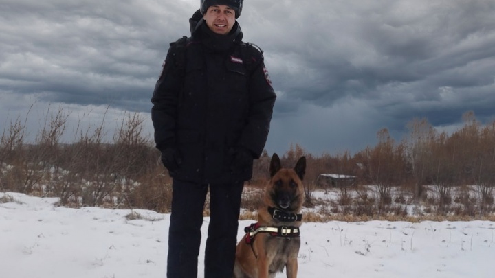 Служебный пес Юстас помог раскрыть кражу в Шатровском районе Зауралья