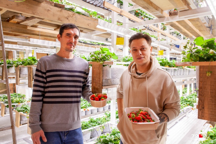 Cергей Безруких (справа) вместе со своим приятелем Антоном Дружининым второй год трудятся над развитием ягодной сити-фермы