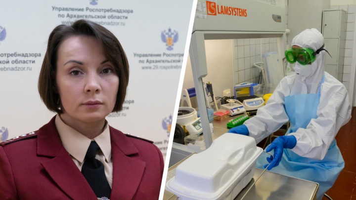 Омикрон в Архангельской области: у кого и как выявляют новый штамм коронавируса