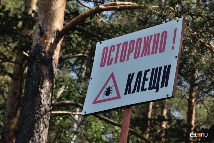 Отправляясь на природу, не забывайте, что уже сейчас вас там могут поджидать клещи Отправляясь на природу, не забывайте, что уже сейчас вас там могут поджидать клещи