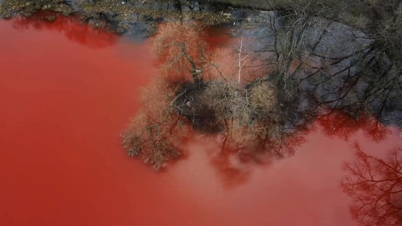 В Литве пруд рядом с российским посольством окрасили в кровавый цвет