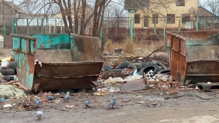 «Баки пусты, а свалка на месте»: в Волгограде поселок завалило мусором