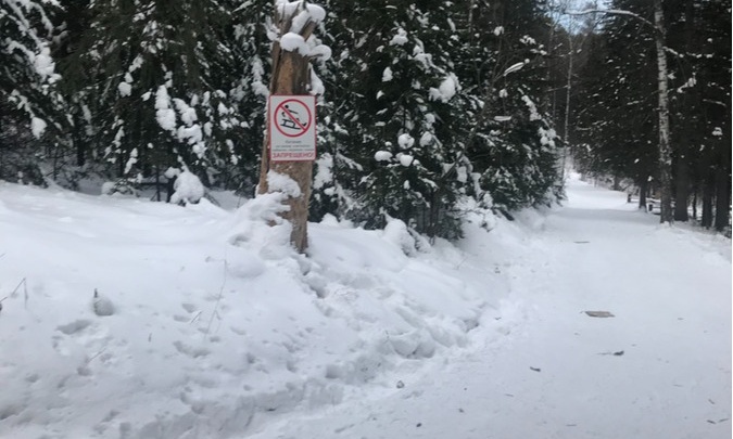 Вплоть до штрафа: на «Столбы» запретили приходить с санками, плюшками и лыжами