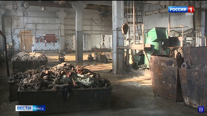В Омской области планируют закрыть единственный завод по утилизации трупов домашних животных