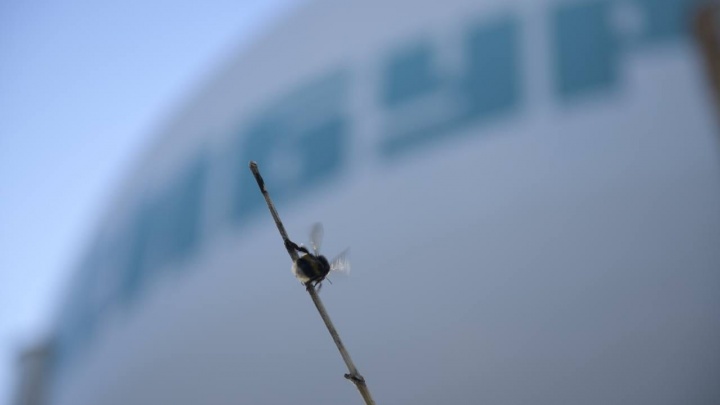 «Сибур-Химпром» предотвратил выброс в атмосферу полмиллиона тонн углекислого газа