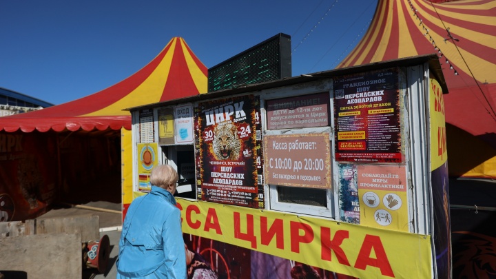 Антимонопольная служба нашла нарушения в рекламе цирка-шапито, приехавшего с гастролями в Челябинск