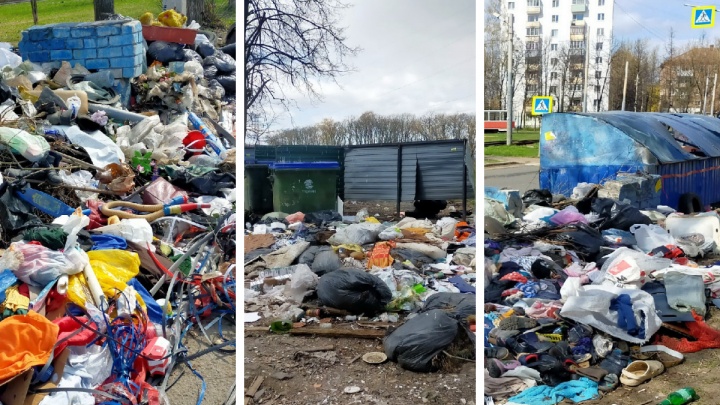 «Беда и стыд»: Ленинский район Ярославля завалило мусором. 10 отвратительных фото и одно видео