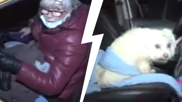 Зоозащитники забрали у женщины, живущей в машине на Уралмаше, собаку и кошек. Видео потасовки