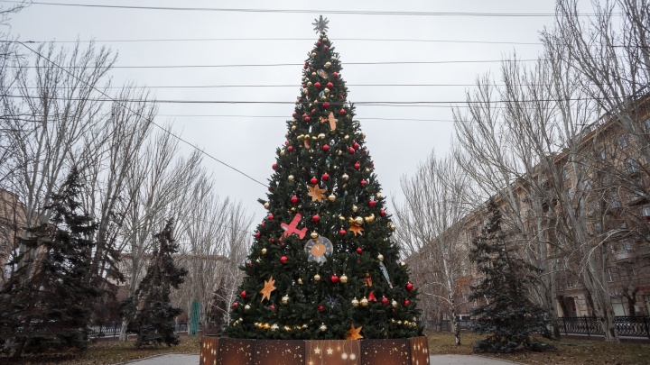 Со спектаклем, но без интерактивов: в Волгограде разрешили новогодние елки для школ и детсадов