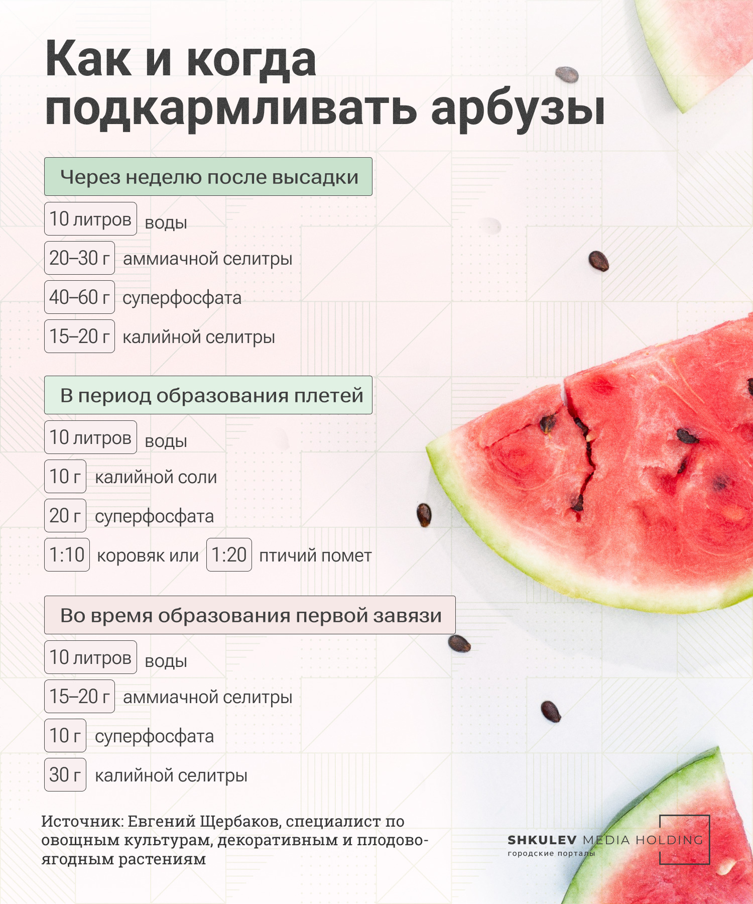 Подкармливать арбузы нужно три раза за сезон Подкармливать арбузы нужно три раза за сезон
