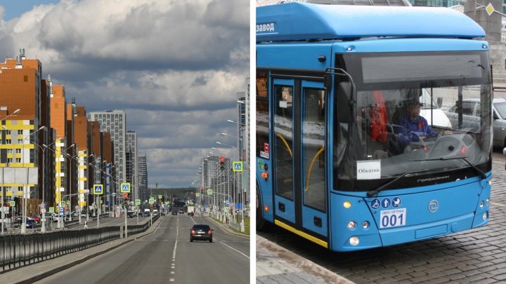 Проводов нет, а троллейбусы поедут: в Академическом появится новый вид транспорта
