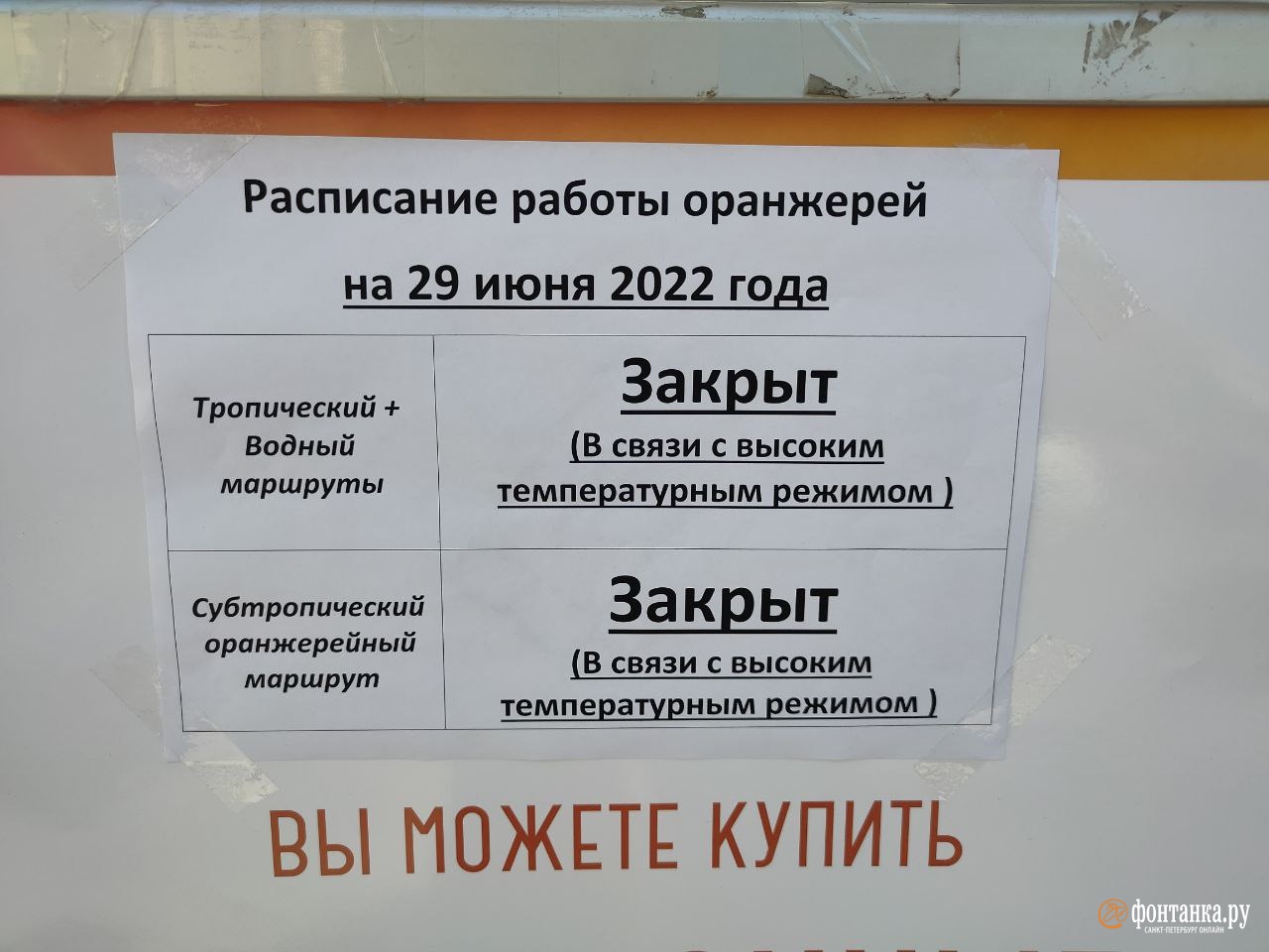 Ботанический сад в Петербурге временно закрыл оранжереи из-за жары
