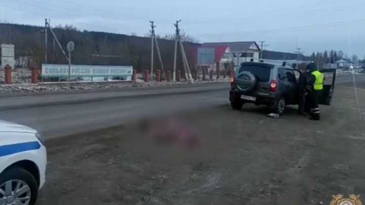 В Башкирии чиновник районной администрации насмерть сбил женщину на пешеходном переходе