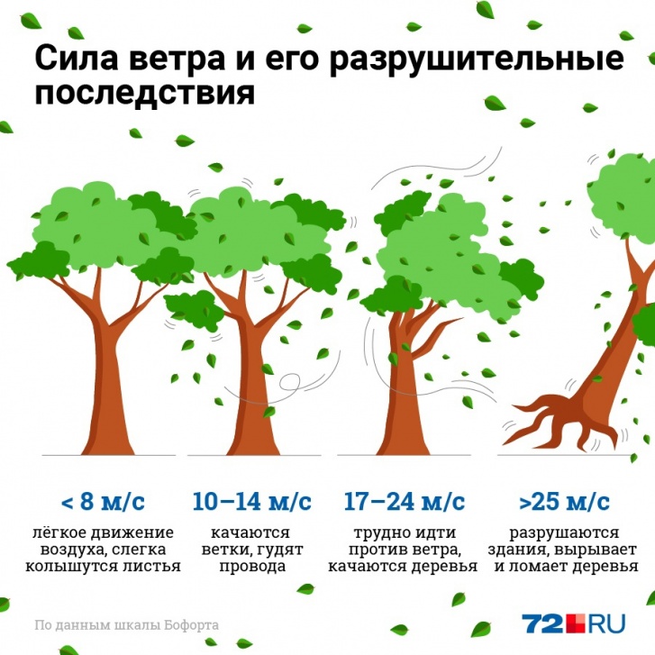 При порывах ветра до <nobr>14 м/с</nobr> можно смело выходить на улицу. Если сила ветра от 17 до <nobr>24 м/с</nobr> — рушится кровля домов, идти очень трудно. Лучше остаться дома. Если <nobr>25 м/с</nobr> и больше — рушатся здания, падают деревья. Находиться на улице опасно При порывах ветра до <nobr>14 м/с</nobr> можно смело выходить на улицу. Если сила ветра от 17 до <nobr>24 м/с</nobr> — рушится кровля домов, идти очень трудно. Лучше остаться дома. Если <nobr>25 м/с</nobr> и больше — рушатся здания, падают деревья. Находиться на улице опасно