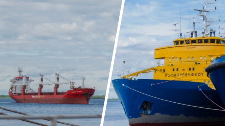 От шаланд до ледоколов: изучаем, что за суда стоят в порту Архангельска