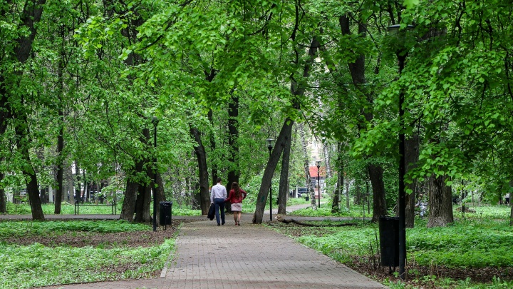 Новый зеленый сквер появится в центре Нижнего Новгорода