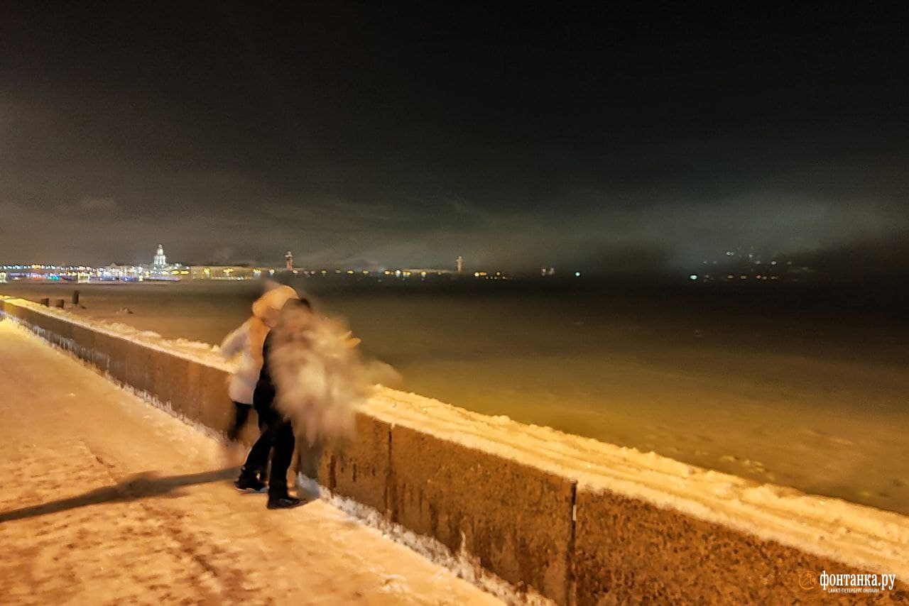 Петербург погружается в туман. Деревья украсила ночная изморозь