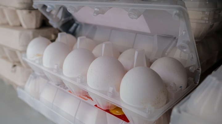 В Минсельхозе Прикамья ответили, подорожают ли яйца из-за пожара на птицефабрике «Комсомольская»