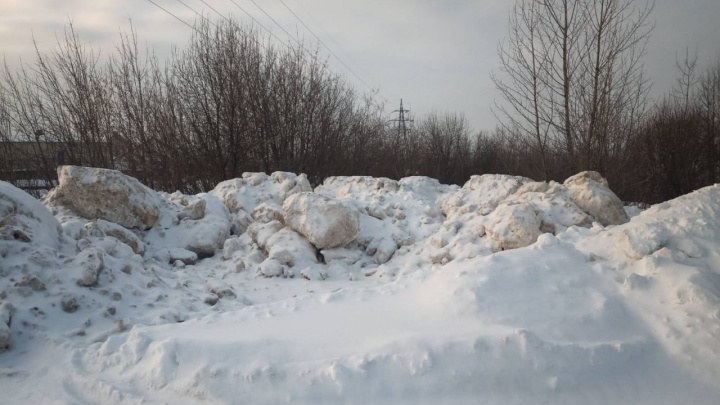 Свалку грязного снега на берегу Волги обнаружили в Заволжье рядом с участком партнеров Михаила Жижина
