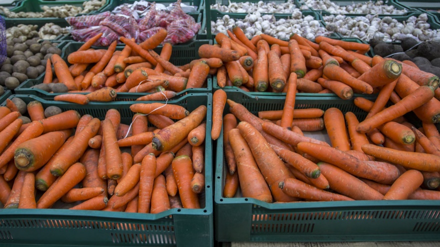 Наберитесь терпения: когда выкапывать морковь и свеклу и как правильно хранить их дома и в погребе