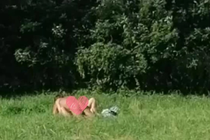 ds