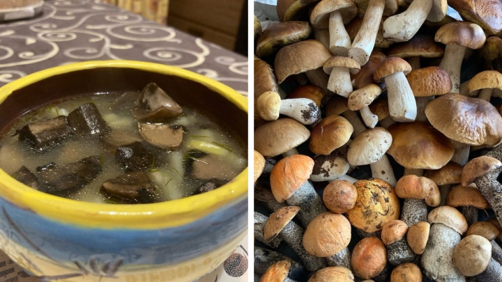 Суп-пюре и сытные пирожки: северянка поделилась рецептами вкуснейших блюд с грибами