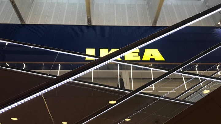 «Я была готова рыдать!»: уральцы создали чат ждунов заказов из IKEA