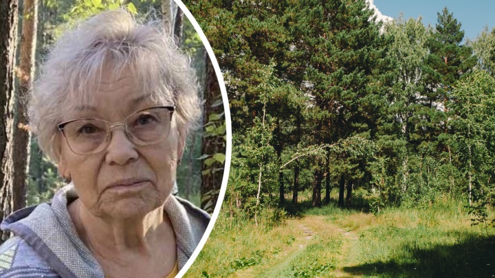 77-летняя тюменка ушла за грибами и не вернулась. Для ее поисков набирают добровольцев