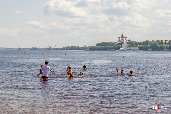 На ярославских пляжах появились толпы отдыхающих