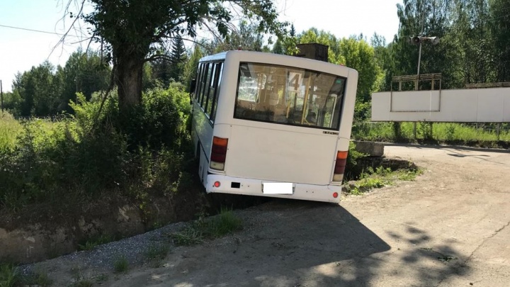 Следователи назвали виновных в жутком ДТП в Лесном, где под колесами автобуса погибли восемь человек