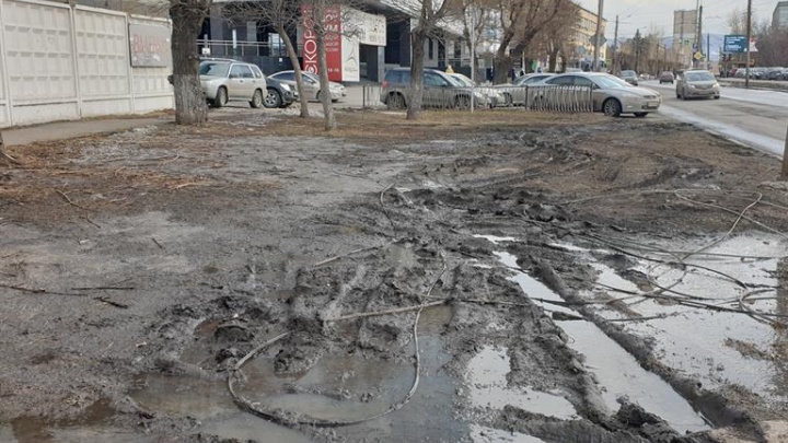 С любителей парковаться на газоне взыскали 132 тысячи рублей на восстановление