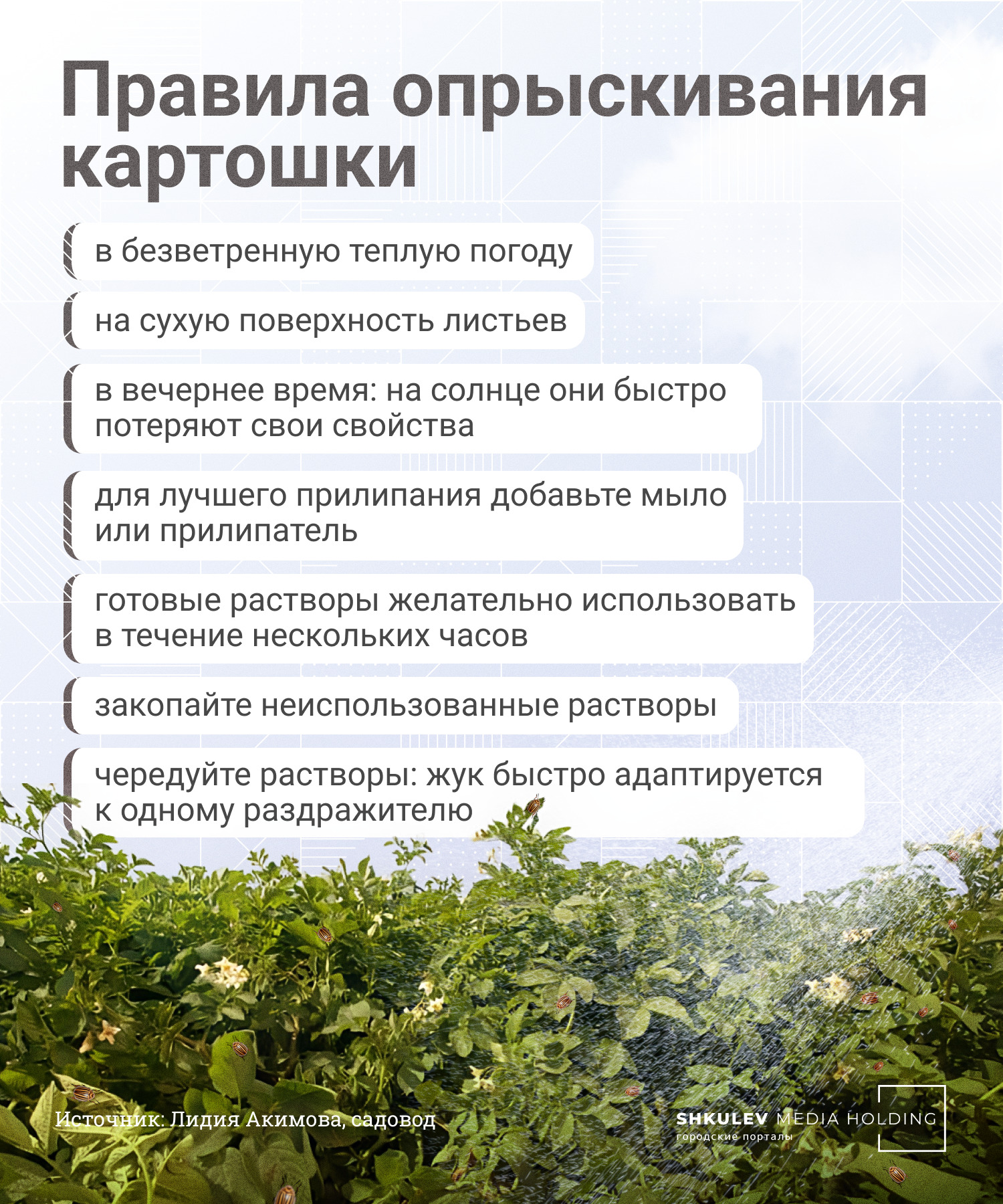 Как правильно опрыскивать картофель Как правильно опрыскивать картофель