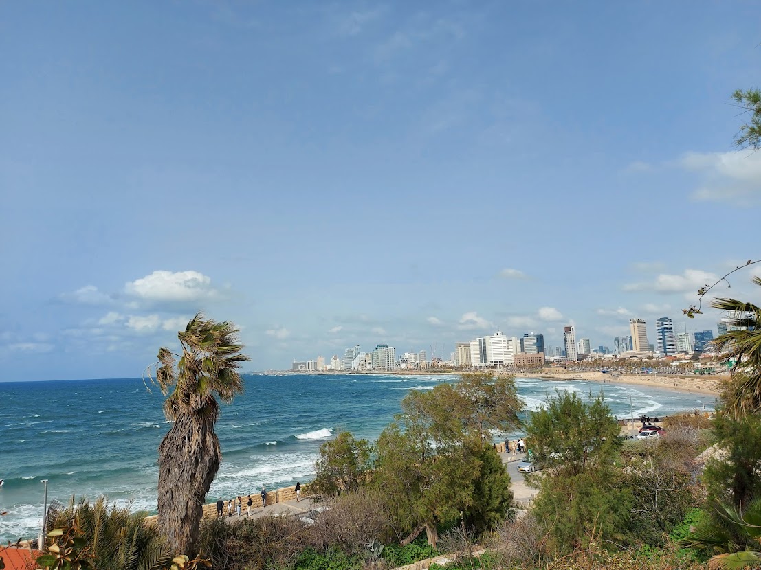 Климат в Израиле теплее, а возможностей для представителей многих профессий больше, чем в России