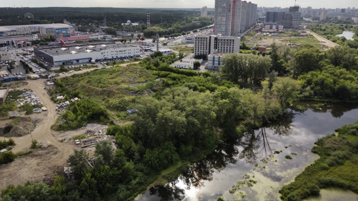 В Челябинске на берегу реки Миасс построят новую школу, как в Академе и Ньютоне