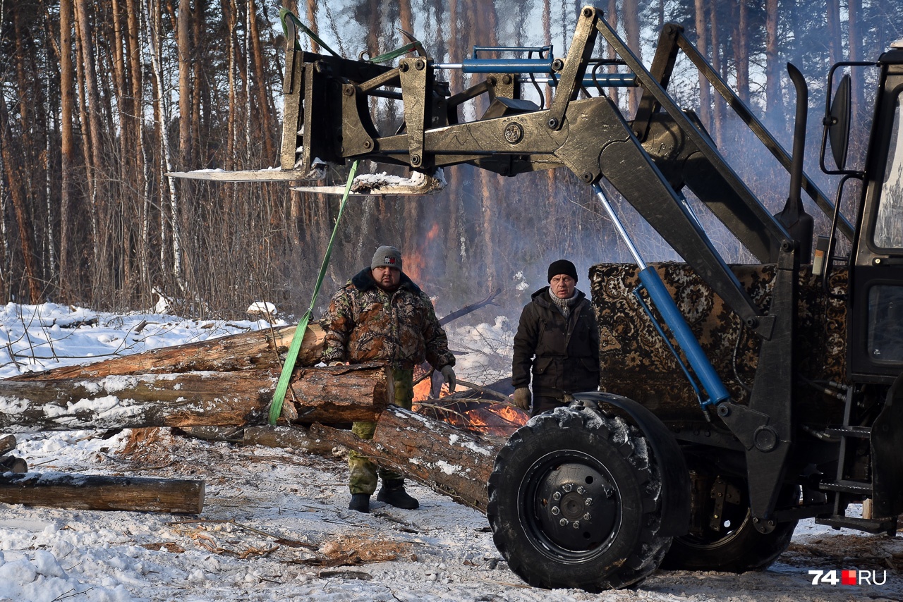 Трактор стаскивает поваленные деревья. Их сортируют и более-менее годные используют для мелкого строительства: например, часть таких стволов пошла на создание беседок в самом бору