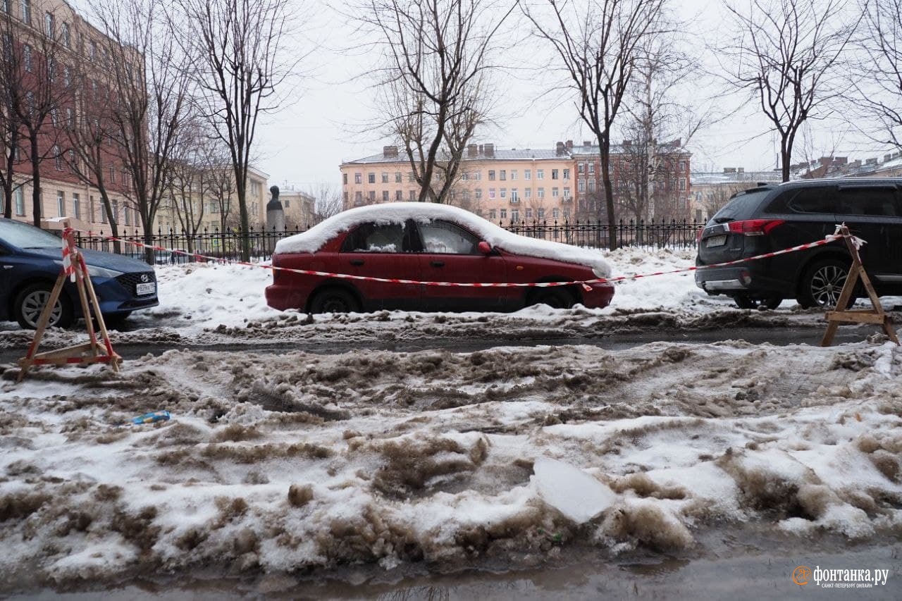 Фото снега в питере сегодня