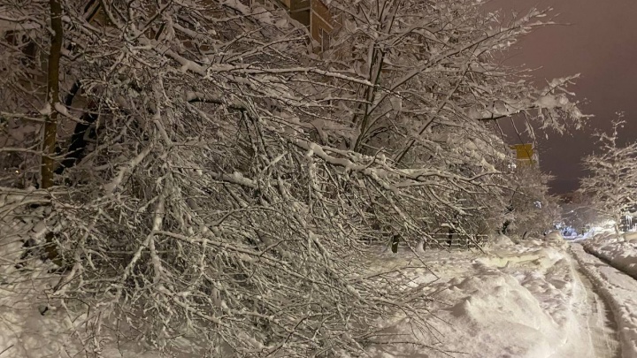 В Краснодаре продлили штормовое предупреждение из-за снега