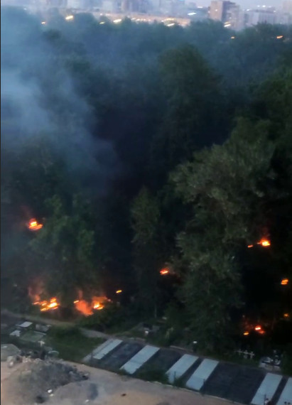 Очевидцы сообщают о пожаре на Серафимовском кладбище. На видео — россыпь «костров»