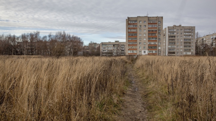 Адские концентрации тяжелых металлов: в спальном районе Ярославля затаилась экологическая мина