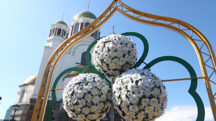 В Екатеринбурге появилось «Место силы». В центре города расцвел сад из пяти тысяч белых цветов