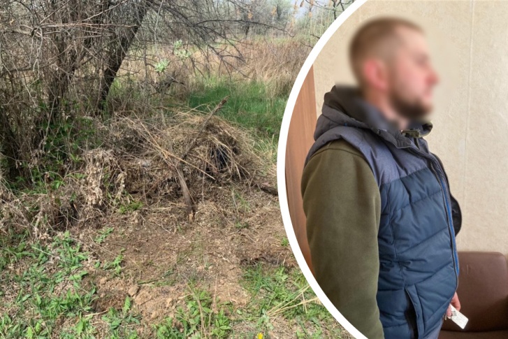 Красноярец закидал тело приятеля ветками и травой Красноярец закидал тело приятеля ветками и травой