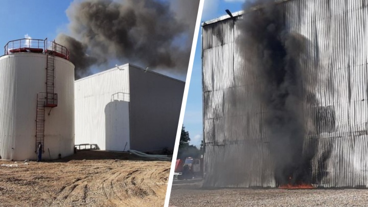 «Бороться с огнем помогают и сотрудники»: новые подробности пожара на заводе УЛК