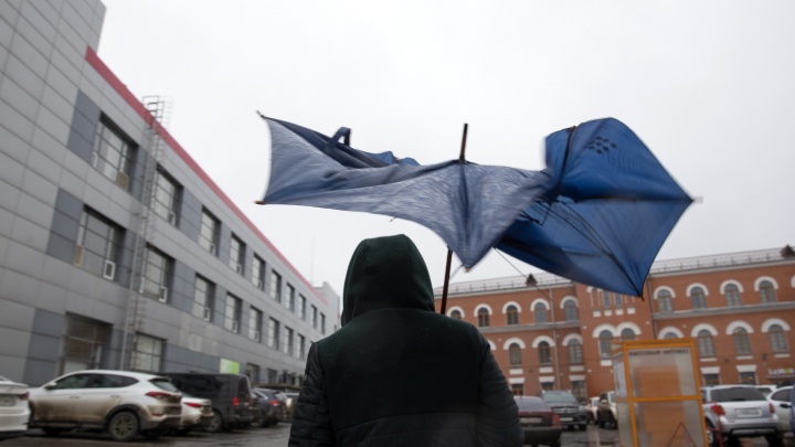 Могут пострадать люди: на Ярославскую область обрушится сильный ветер