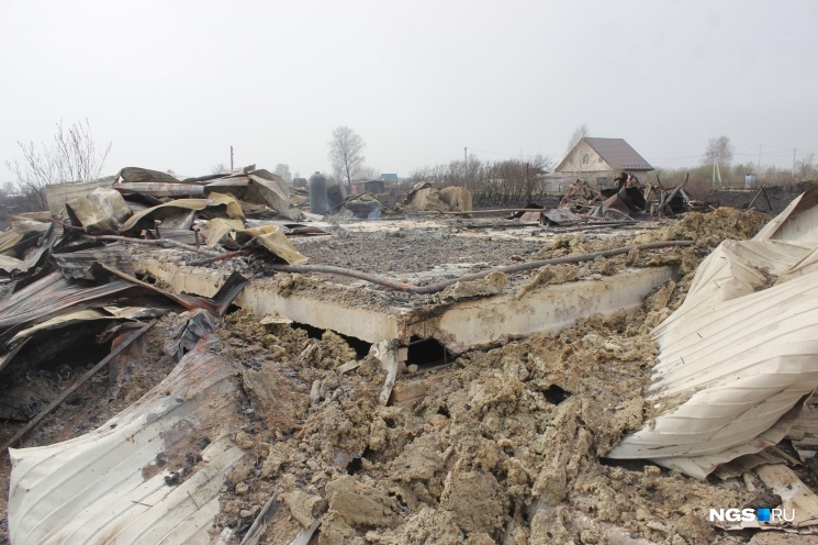 Дело о 63 дачах, сгоревших под Новосибирском: пенсионера обязали выплатить 31 миллион