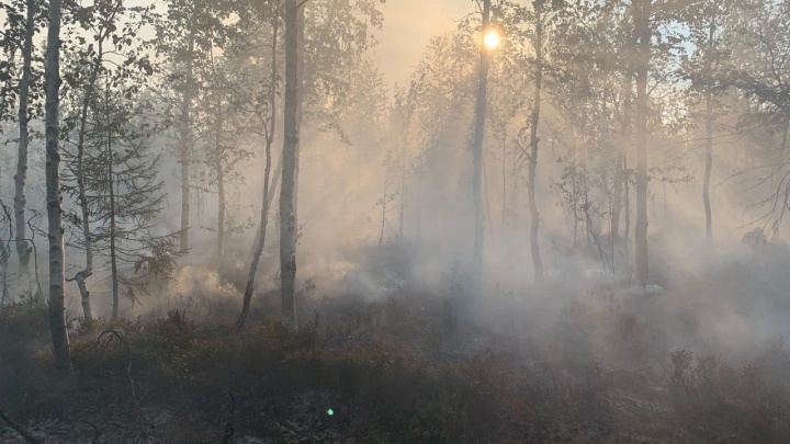 Под Кизелом потушили лесной пожар