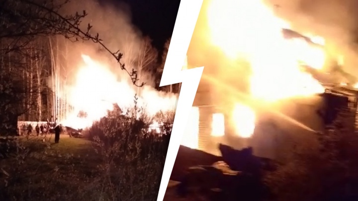 «Горят лес, трава и дома». Видео страшного пожара у коттеджного поселка на Урале