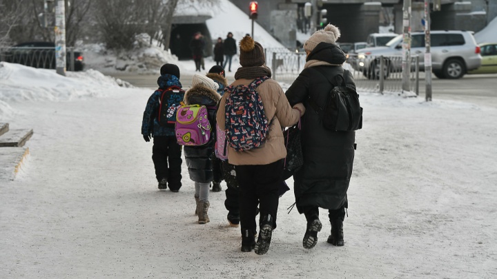 Сидите дома! В Екатеринбурге школьников массово переводят на дистант